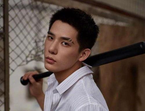 王安宇娱乐爆料,揭秘娱乐圈不为人知的幕后故事  第2张